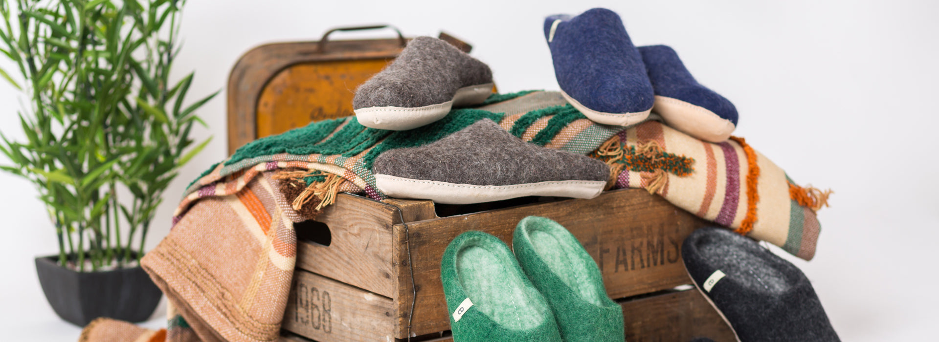 Mule Slippers